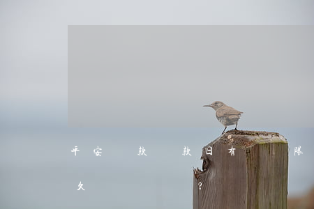 平安貸款還款日有無寬限期？期限是多久？